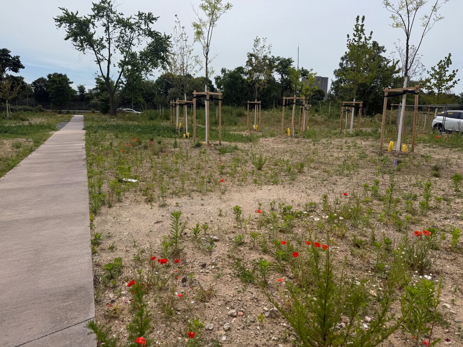 Columbus & Friendship Parks, view 8