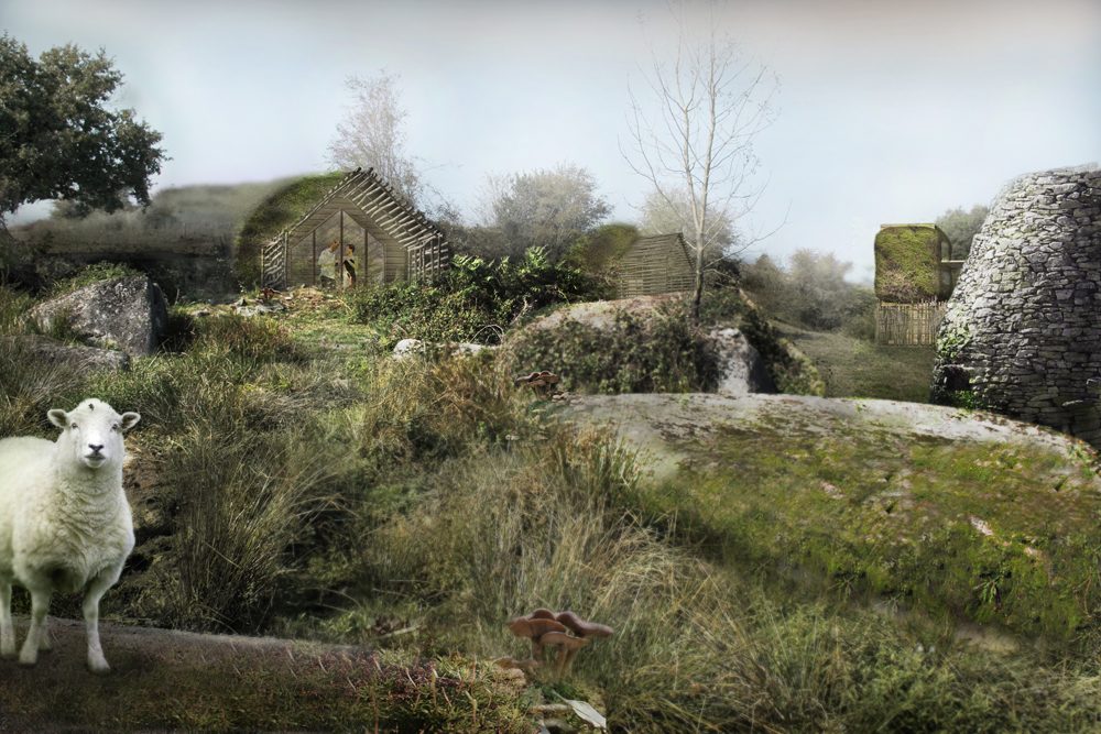 Ecotonie, view 3