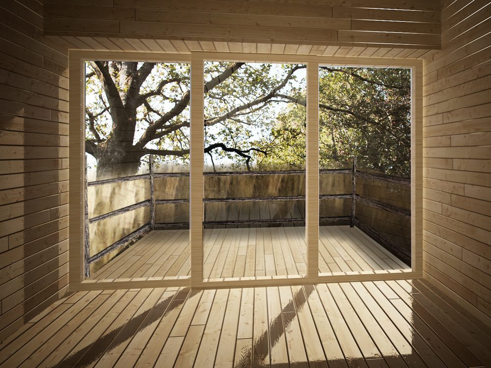 Ecotonie, view 5