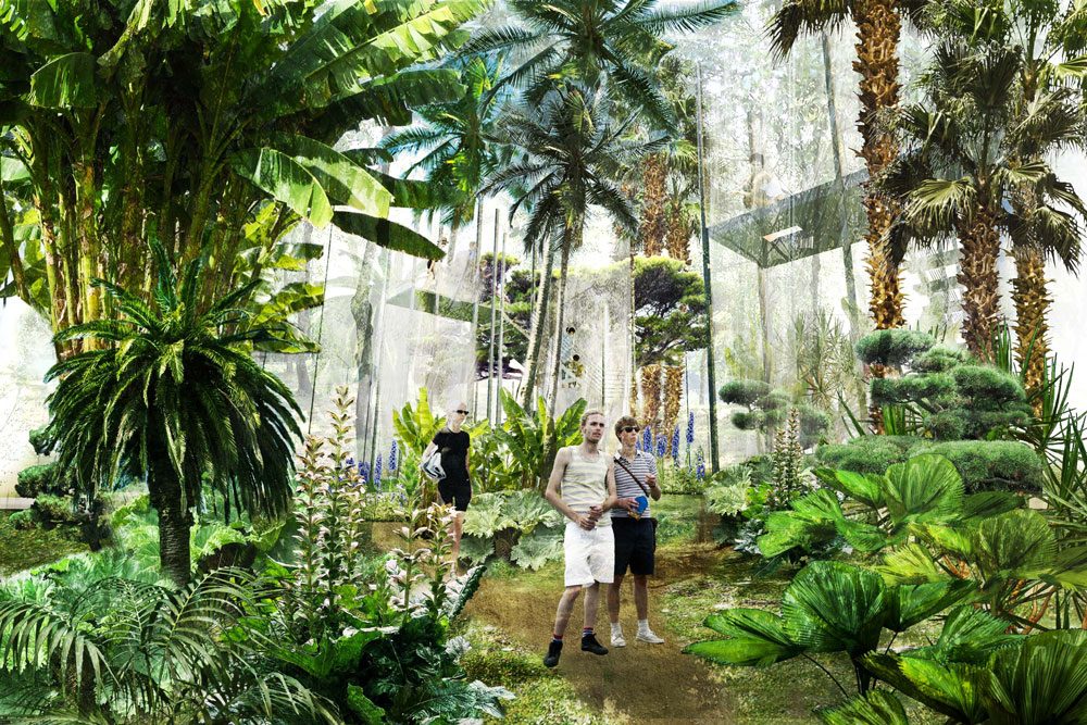 The Forest Tissue Garden, view 3