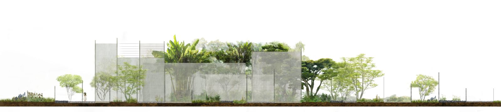 The Forest Tissue Garden, view 6
