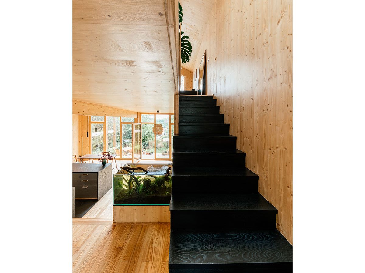 House KW+FP, view 12