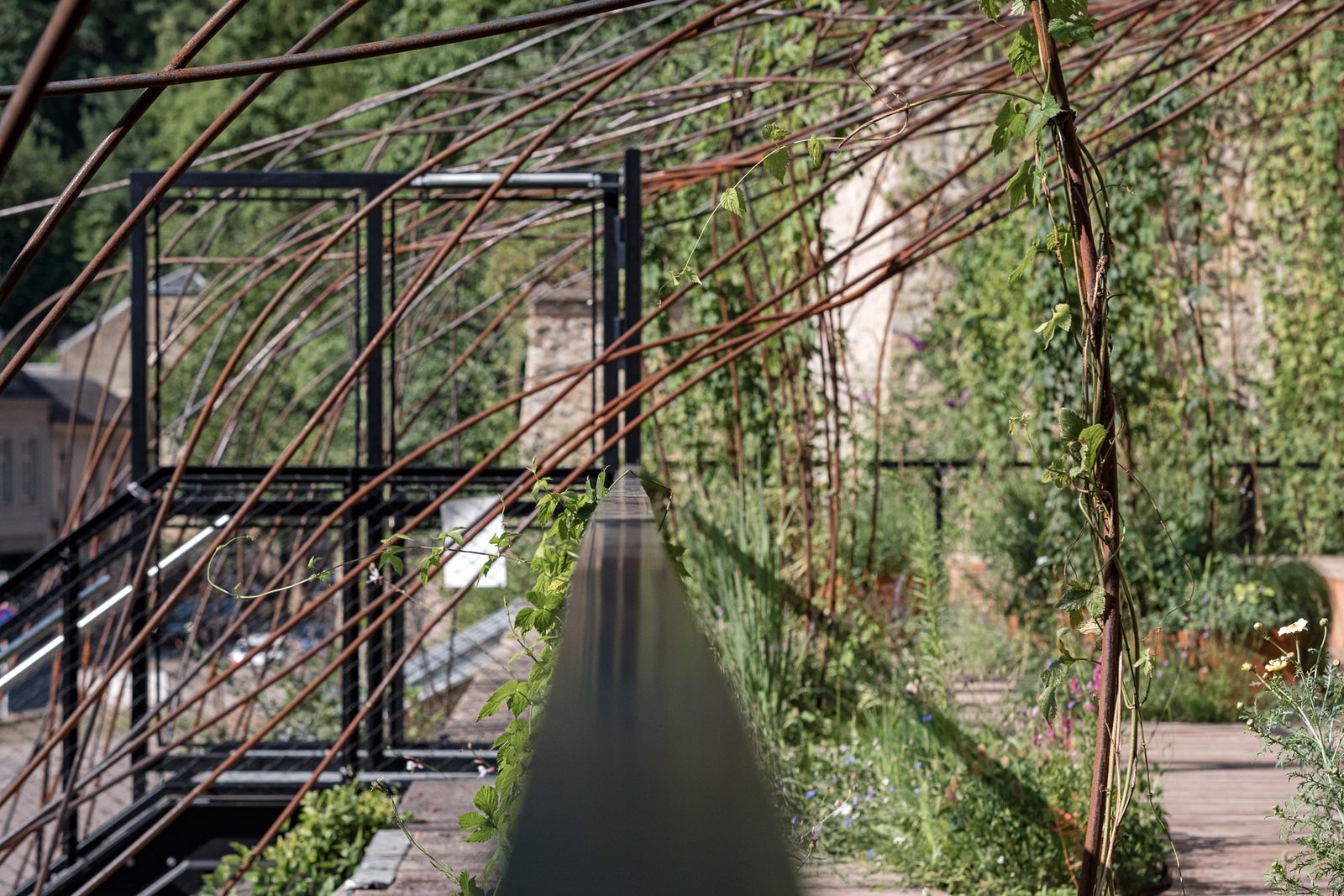 The Roots of the Future, view 12
