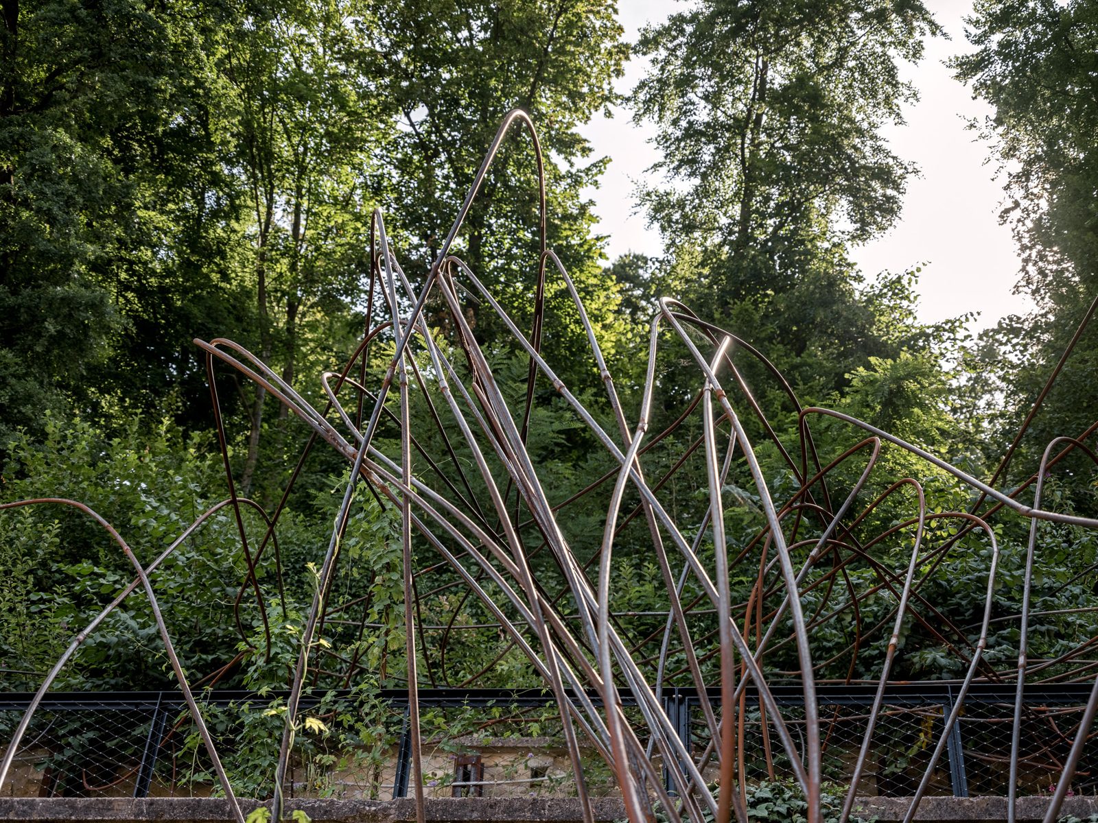 The Roots of the Future, view 15