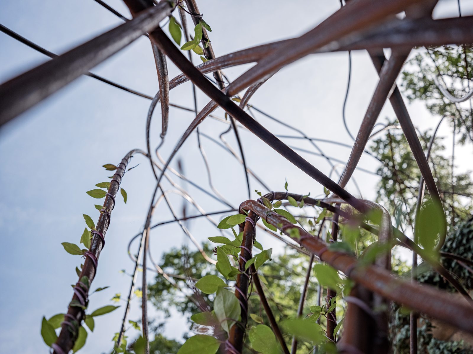 The Roots of the Future, view 16