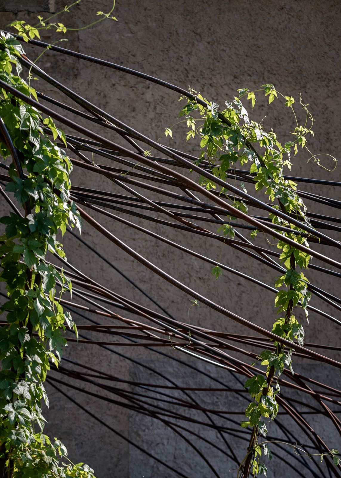 The Roots of the Future, view 6