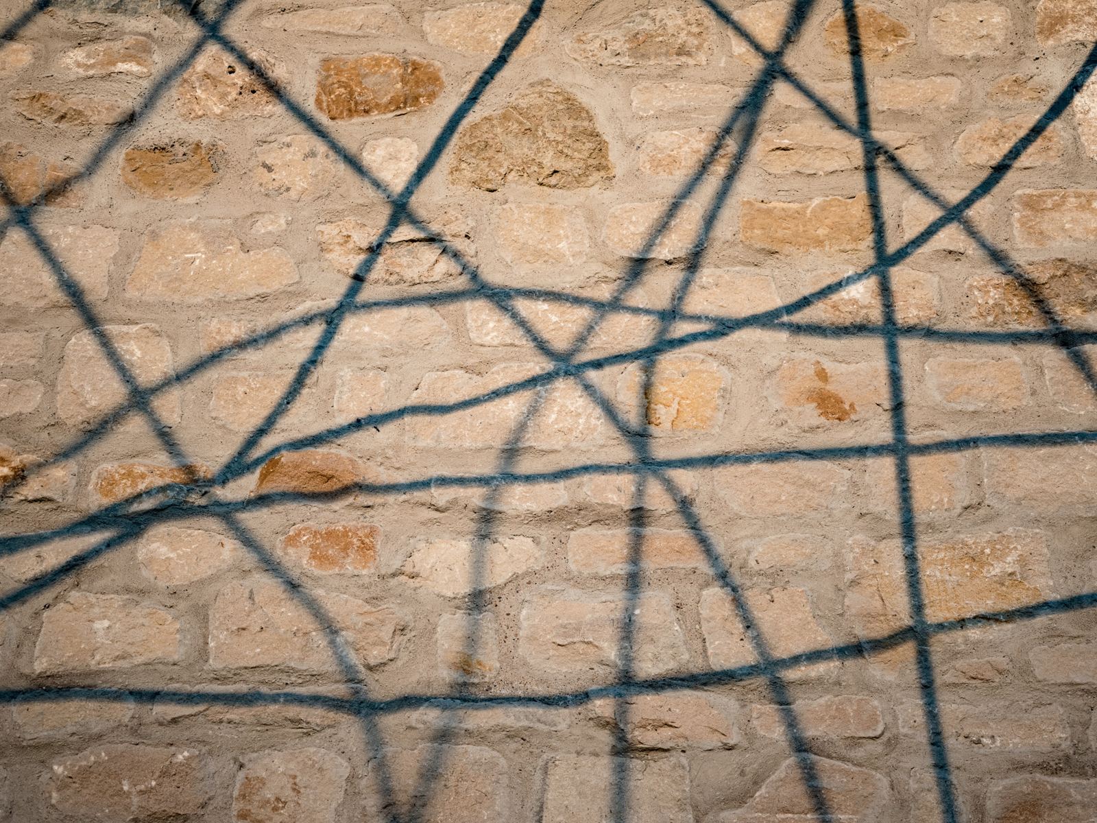 The Roots of the Future, view 8